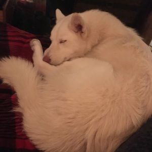 Meet your Posher, Ariadna